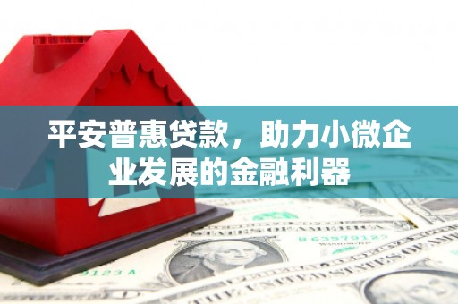 罗东平安普惠贷款，助力小微企业发展的金融利器