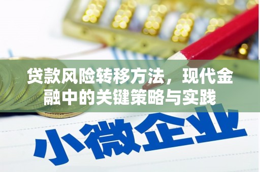 罗东贷款风险转移方法，现代金融中的关键策略与实践