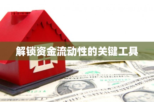 罗东解锁资金流动性的关键工具