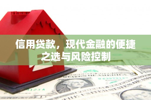 罗东信用贷款，现代金融的便捷之选与风险控制