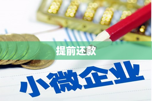罗东提前还款