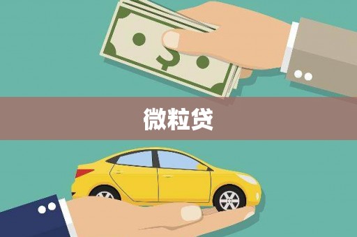 罗东微粒贷