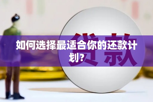 罗东如何选择最适合你的还款计划？