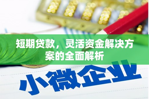 罗东短期贷款，灵活资金解决方案的全面解析