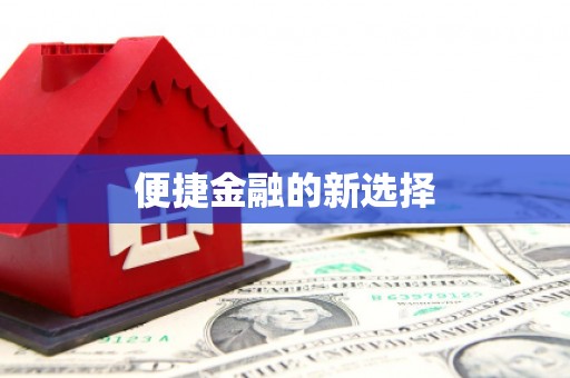 罗东便捷金融的新选择