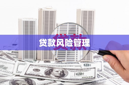 罗东贷款风险管理
