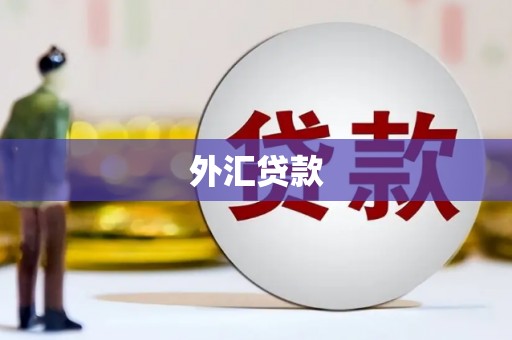 罗东外汇贷款