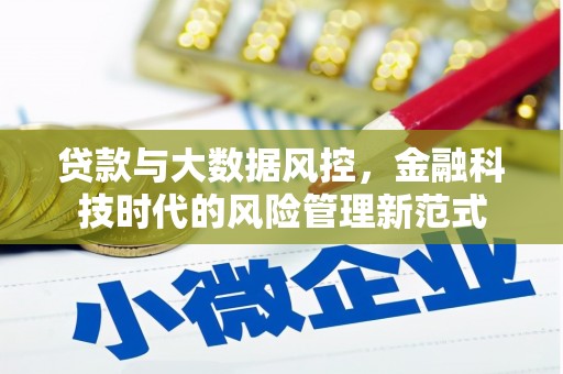 罗东贷款与大数据风控，金融科技时代的风险管理新范式