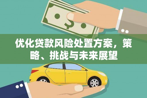 罗东优化贷款风险处置方案，策略、挑战与未来展望