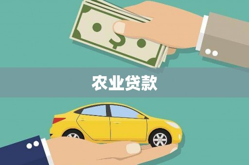 罗东农业贷款
