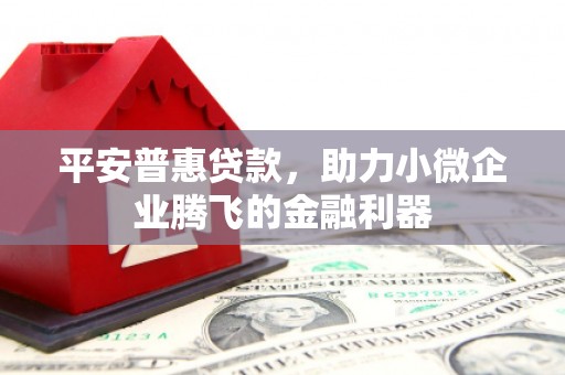 罗东平安普惠贷款，助力小微企业腾飞的金融利器
