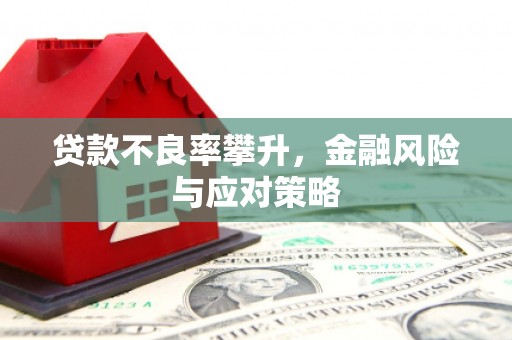 罗东贷款不良率攀升，金融风险与应对策略