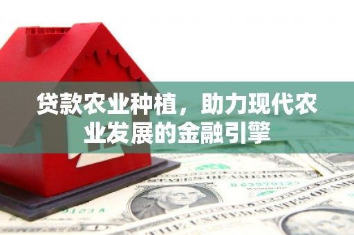 罗东贷款农业种植，助力现代农业发展的金融引擎