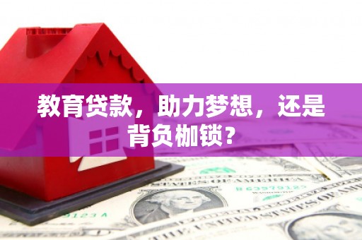 罗东教育贷款，助力梦想，还是背负枷锁？