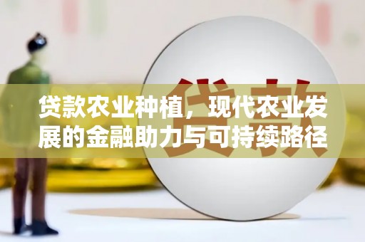 罗东贷款农业种植，现代农业发展的金融助力与可持续路径
