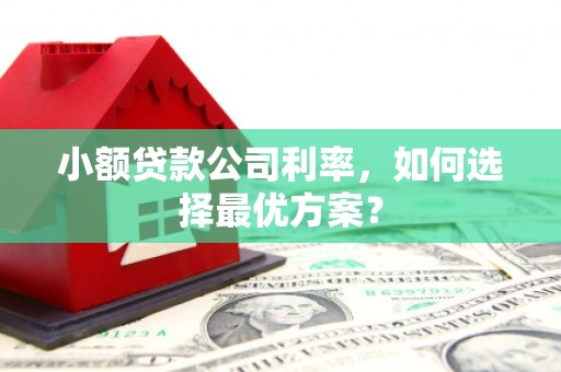 罗东小额贷款公司利率，如何选择最优方案？