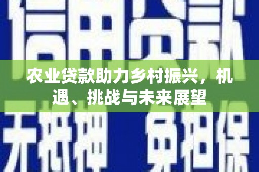 罗东农业贷款助力乡村振兴，机遇、挑战与未来展望