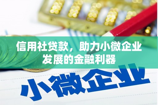 罗东信用社贷款，助力小微企业发展的金融利器