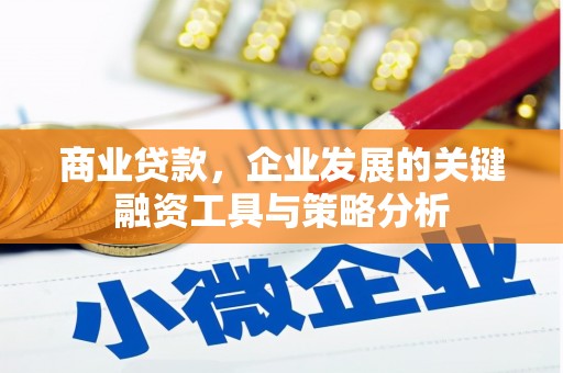 罗东商业贷款，企业发展的关键融资工具与策略分析