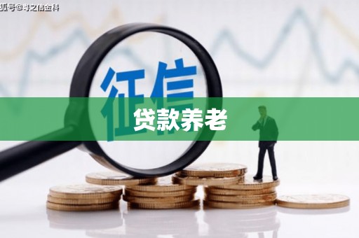 罗东贷款养老