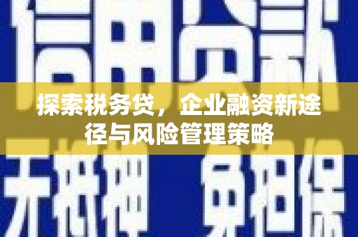 罗东探索税务贷，企业融资新途径与风险管理策略