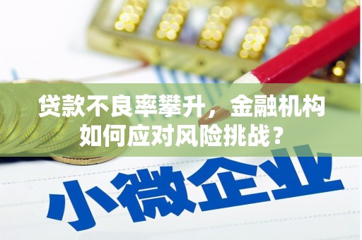 罗东贷款不良率攀升，金融机构如何应对风险挑战？