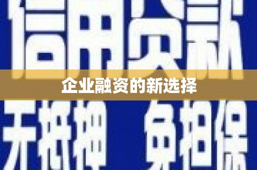 罗东企业融资的新选择