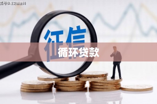 罗东循环贷款