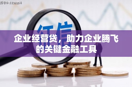 罗东企业经营贷，助力企业腾飞的关键金融工具