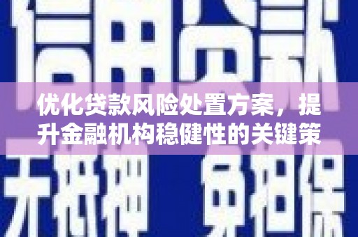罗东优化贷款风险处置方案，提升金融机构稳健性的关键策略