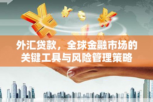 罗东外汇贷款，全球金融市场的关键工具与风险管理策略