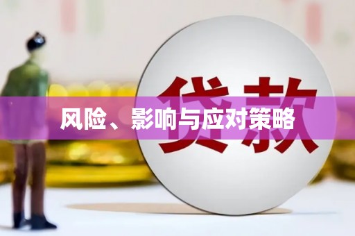罗东风险、影响与应对策略