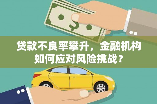 罗东贷款不良率攀升，金融机构如何应对风险挑战？