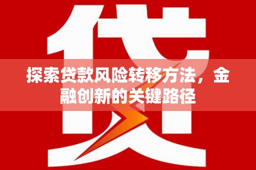 罗东探索贷款风险转移方法，金融创新的关键路径