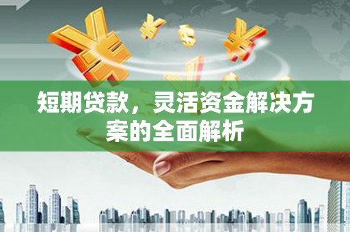 罗东短期贷款，灵活资金解决方案的全面解析
