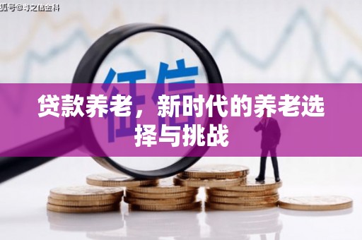 罗东贷款养老，新时代的养老选择与挑战