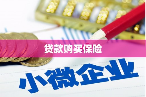 罗东贷款购买保险
