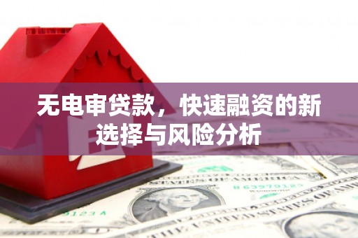 罗东无电审贷款，快速融资的新选择与风险分析