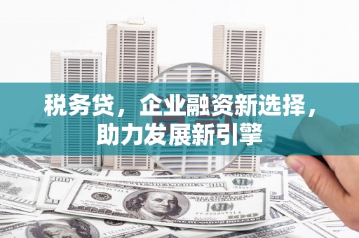 罗东税务贷，企业融资新选择，助力发展新引擎