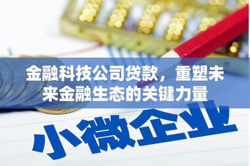 罗东金融科技公司贷款，重塑未来金融生态的关键力量