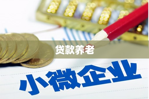 罗东贷款养老