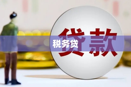 罗东税务贷