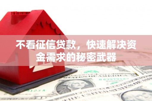 罗东不看征信贷款，快速解决资金需求的秘密武器