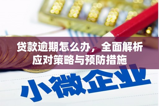 罗东贷款逾期怎么办，全面解析应对策略与预防措施