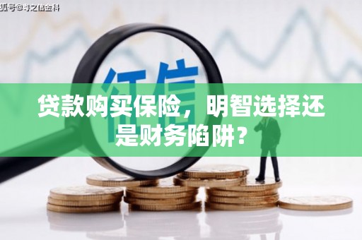 罗东贷款购买保险，明智选择还是财务陷阱？