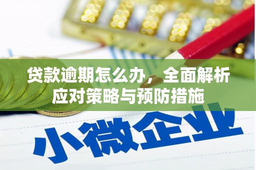 罗东贷款逾期怎么办，全面解析应对策略与预防措施