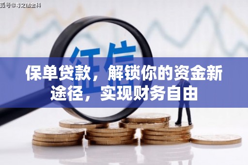 罗东保单贷款，解锁你的资金新途径，实现财务自由