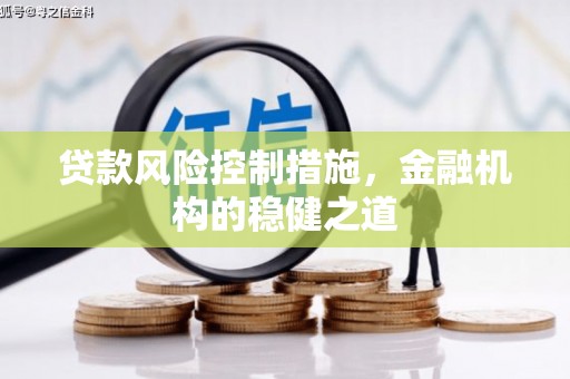 罗东贷款风险控制措施，金融机构的稳健之道