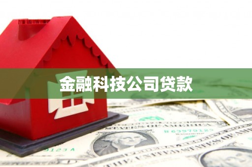 罗东金融科技公司贷款