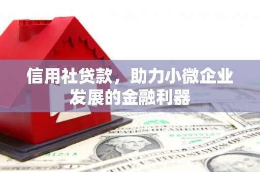 罗东信用社贷款，助力小微企业发展的金融利器